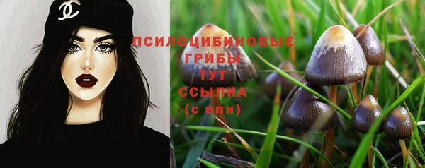 мескалин Алексин