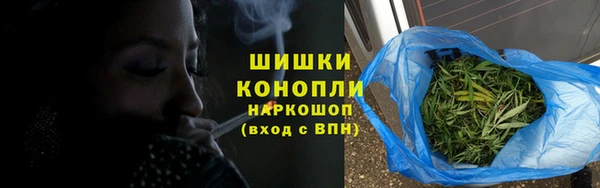 сатива Козельск