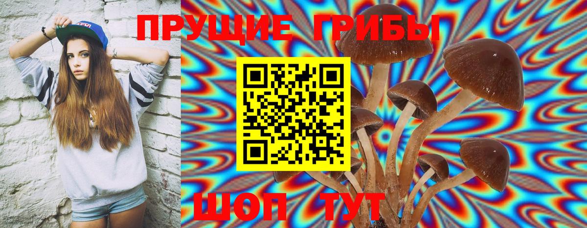 Псилоцибиновые грибы Magic Shrooms Егорьевск