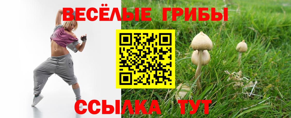 Галлюциногенные грибы Psilocybe  Псилоцибиновые грибы мухоморы  Егорьевск  Вход с VPN 
